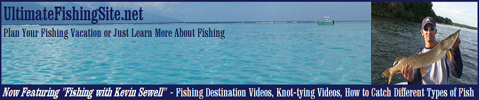 mexico beach fl. Mexico Beach, FL Fishing