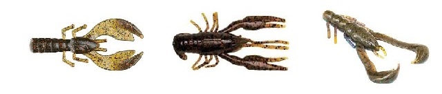 http://ultimatefishingsite.net/wp-content/uploads/crayfish-header-1.jpg