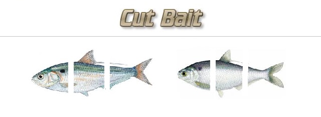 Fishing with Cut Baits
