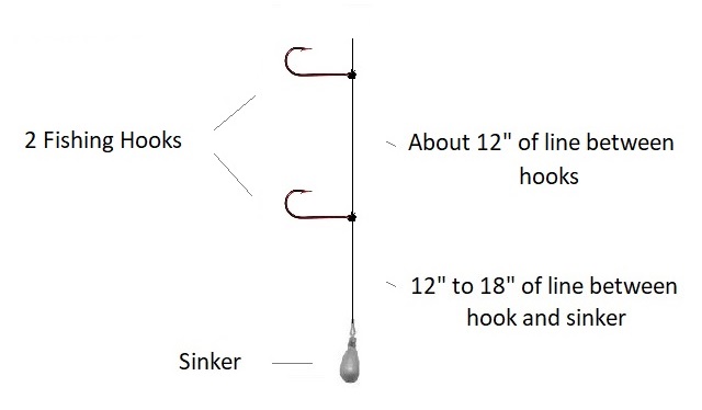 Drop Shot Hook to Weight Length EXPLAINED 
