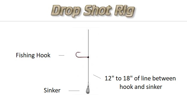 How to Rig a Live Minnow for Maximum Action - Different Ways to Hook Minnows  