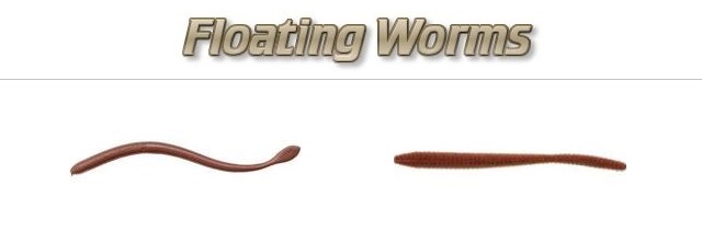Worms  Spotted Bass Fishing