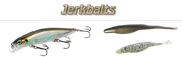 Jerkbaits  Striped Bass Fishing