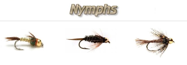 FLY BOX FLY FISHING TROUT SALMON SPEYCAST DRY WET DAMSEL NYMPH BUZZER MAYFLY EGG 