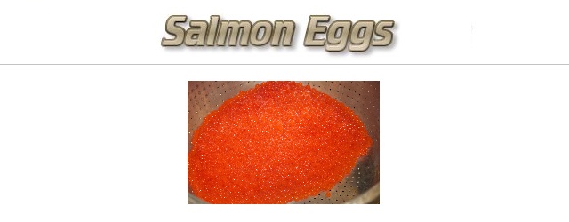 Fishing with Salmon Eggs