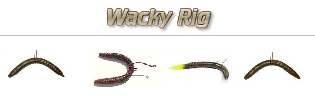 Fishing With Nightcrawlers 101: Best Ways To Rig worms– Hunting
