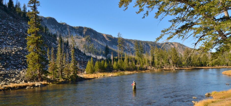 Yellowstone River Fishing