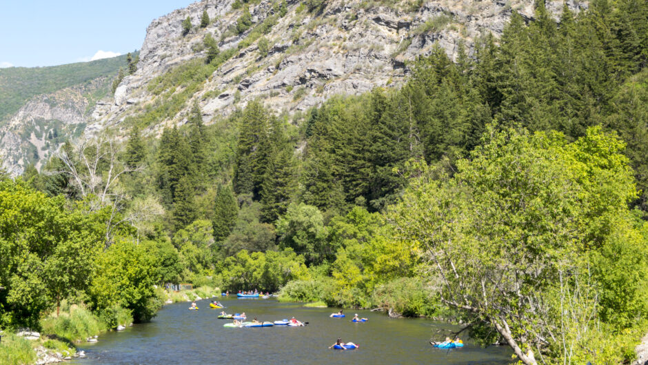 Heber Valley Fishing