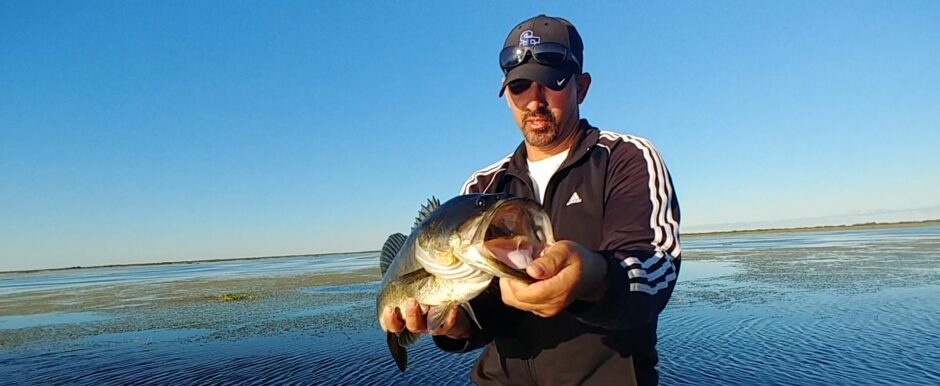 Largemouth Bass Fishing