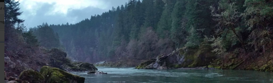 Umpqua River Fishing