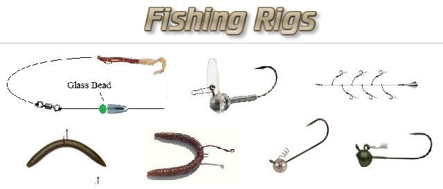 Popular Multi-Hook Rigs | Ultimate Fishing Site